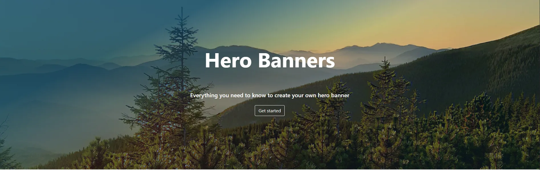  Hero banner