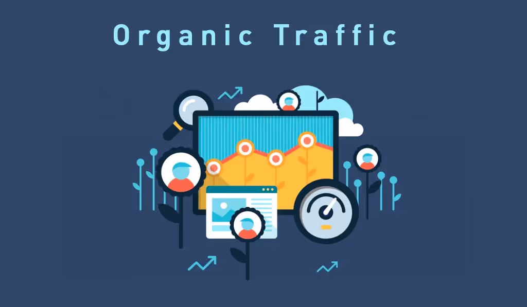 Tăng trưởng lưu lượng truy cập tự nhiên (Organic Traffic)