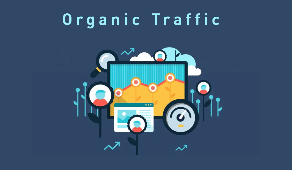 Tăng trưởng lưu lượng truy cập tự nhiên (Organic Traffic)