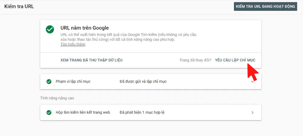 Cách sử dụng Google Search Console để Submit URL