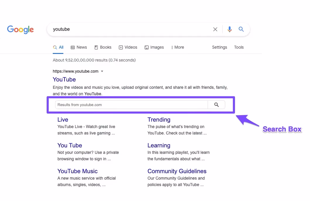 Sitelink dạng hộp tìm kiếm (Sitelink Search Box)