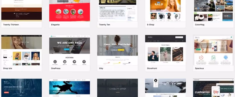 Phân loại Theme WordPress