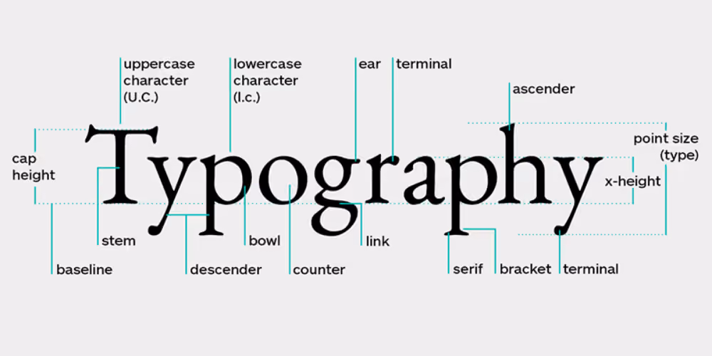 Typography là gì?