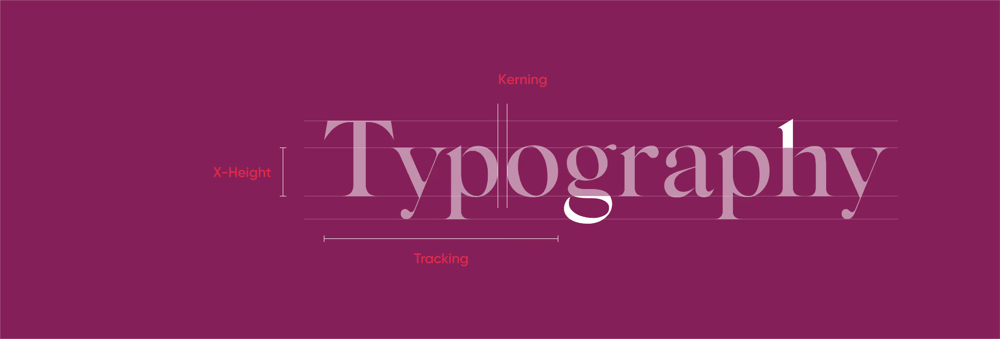 Các yếu tố chính cấu thành Typography