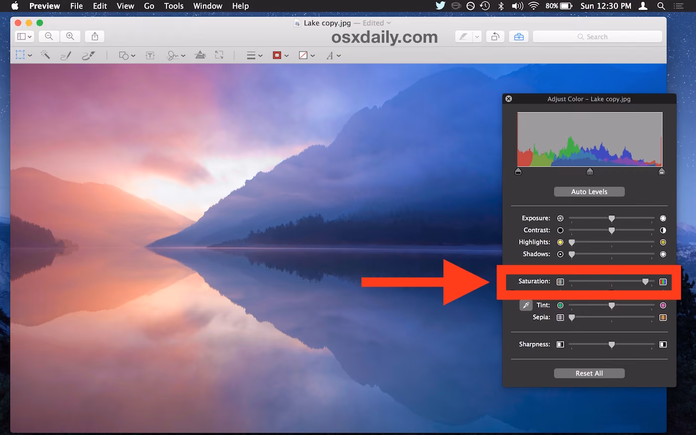 Tầm quan trọng của Saturation trong thiết kế website
