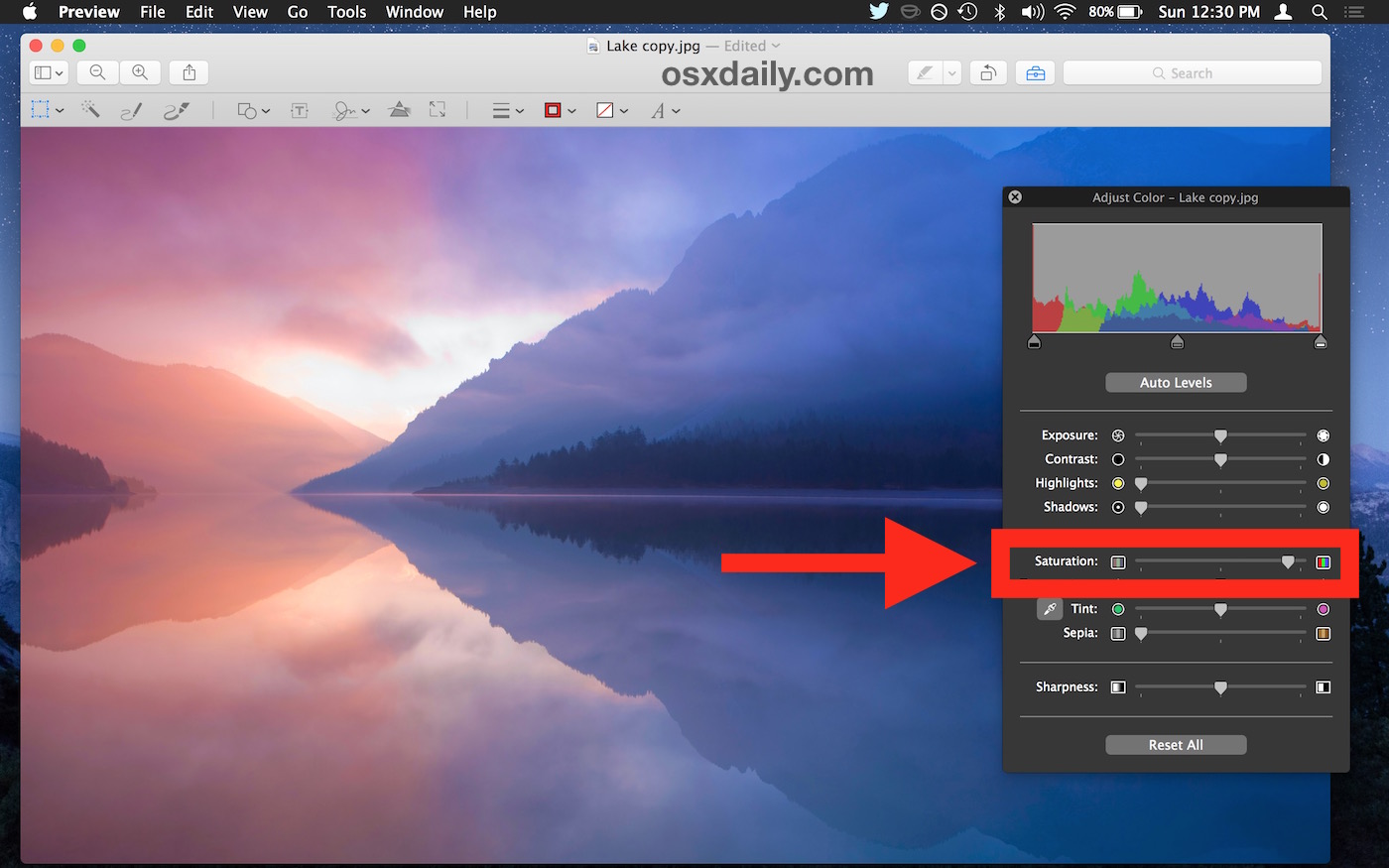 Tầm quan trọng của Saturation trong thiết kế website