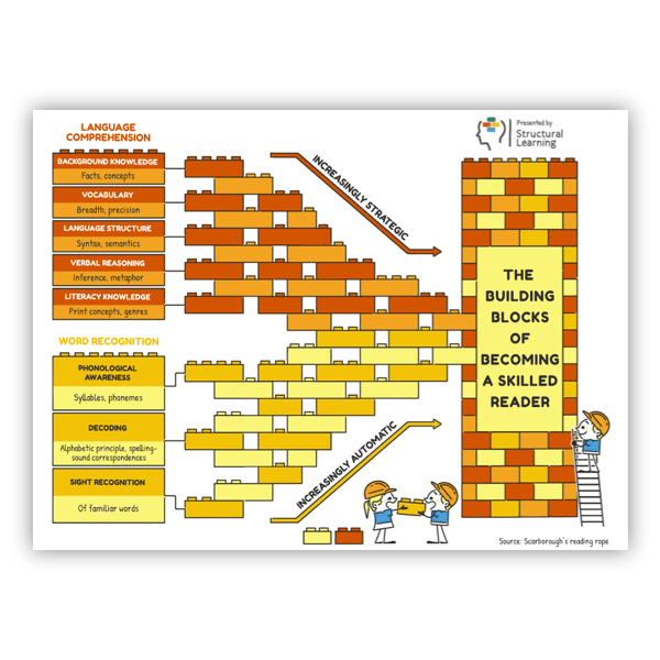 A poster showing the steps to becoming a skilled reader.