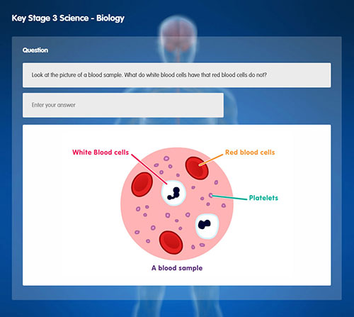 https://www.structural-learning.com/post/boxall-profile