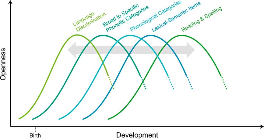 Language acquisition in infancy