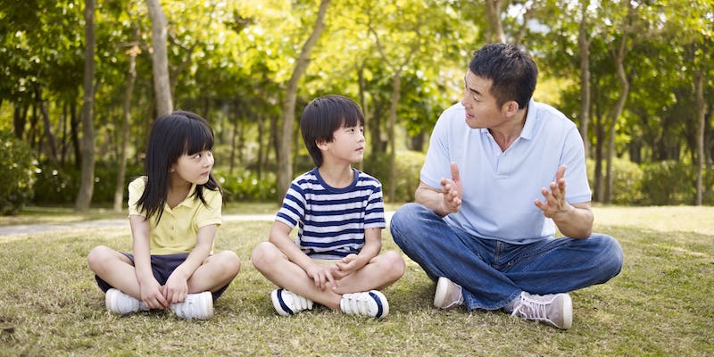 What does a developmental language disorder is look like?