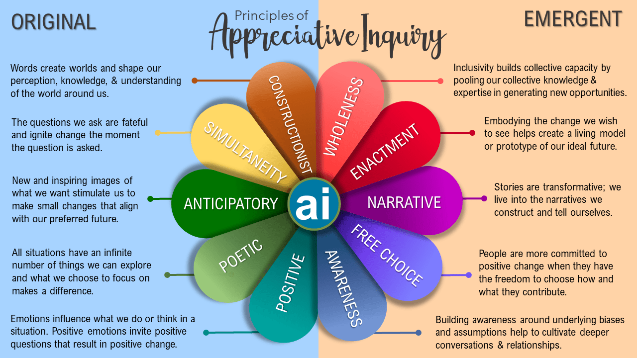 Principles of appreciative inquiry