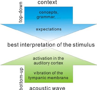 Top-Down Processing and Bottom-Up Processing in Learning