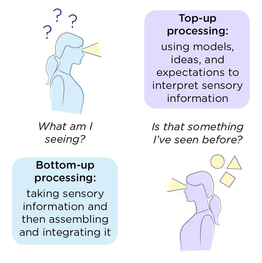 Top-Down Processing and Bottom-Up Processing Example