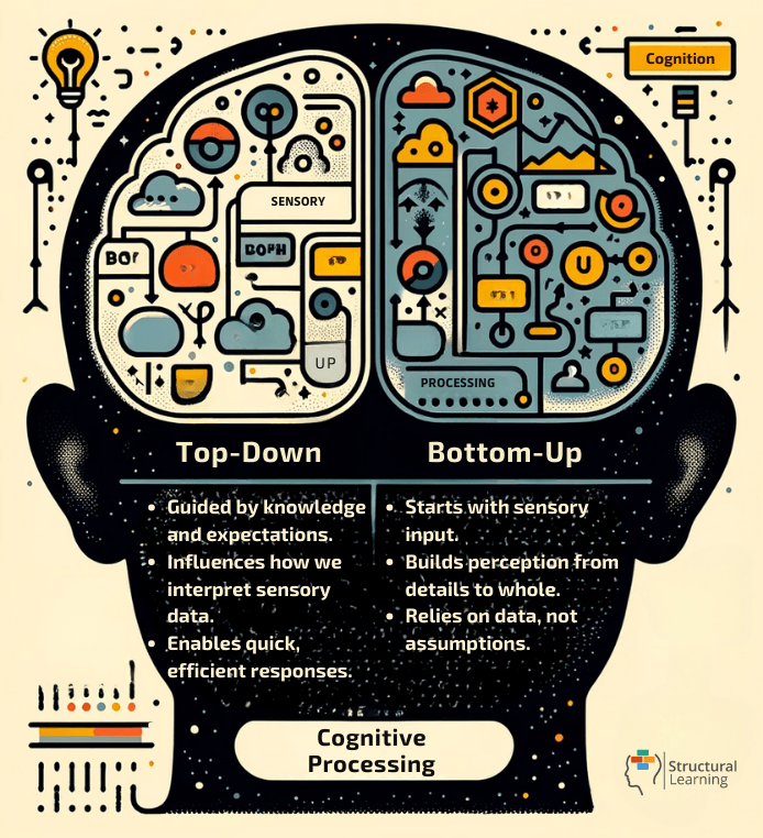 Top-Down Processing and Bottom-Up Processing