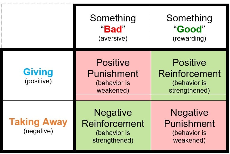 Operant conditioning principles