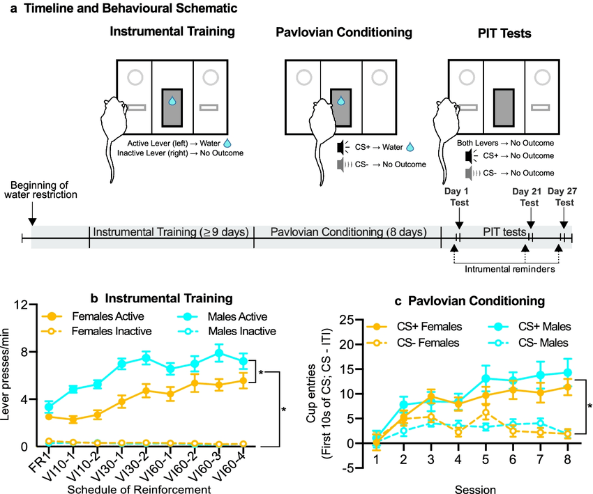 Pavlovian conditioning