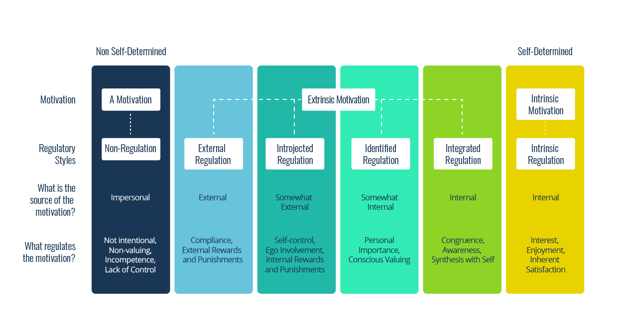 SDT and learner motivation