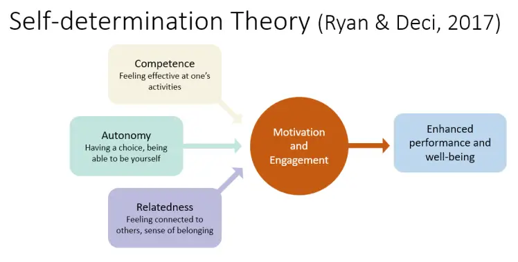 Self-determination theory in learning
