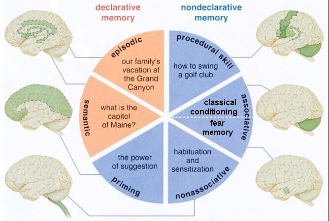 Declarative Memory and Episodic