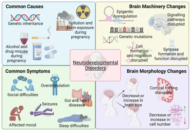 Neurodiversity Disorders Factors