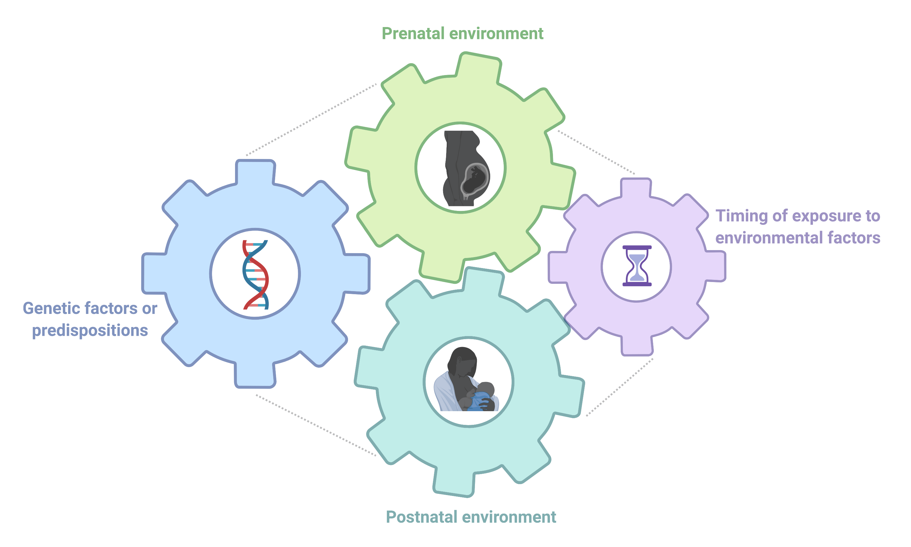 Neurodevelopmental Influences