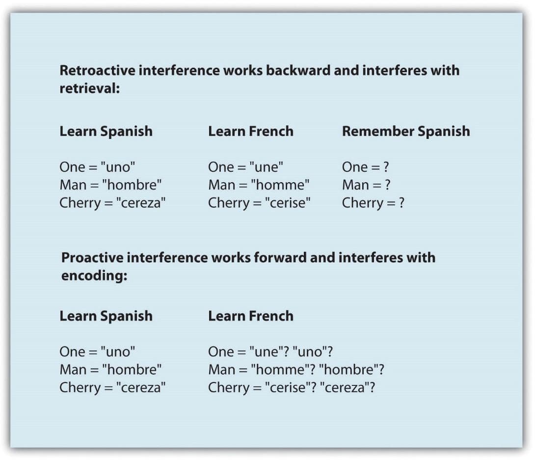 Memory decay and interference
