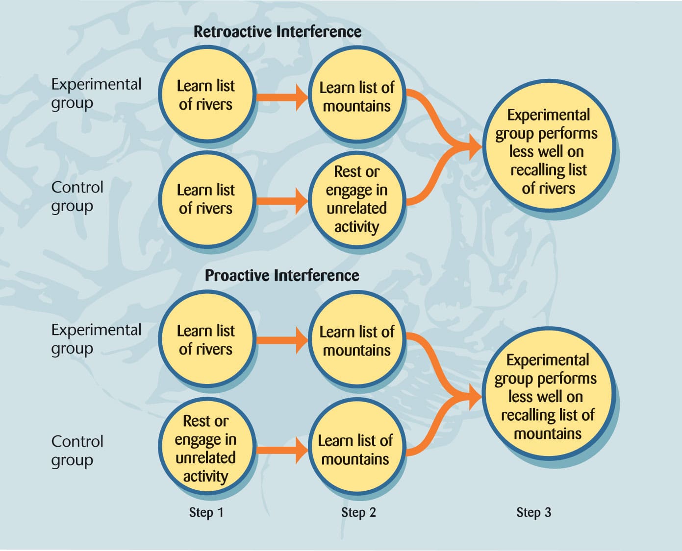 Proactive interference vs retroactive interference