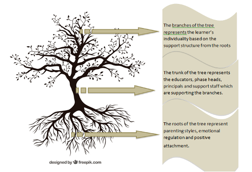 Classroom management and student support