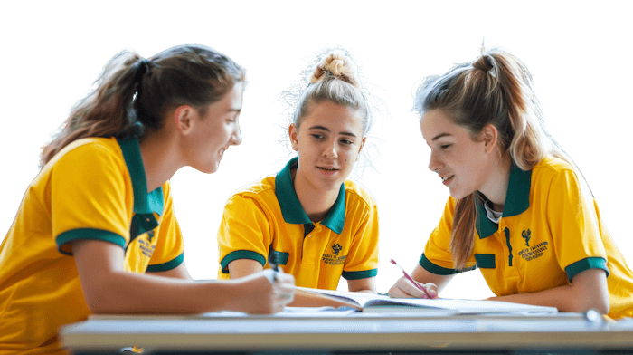 __wf_reserved_inherit