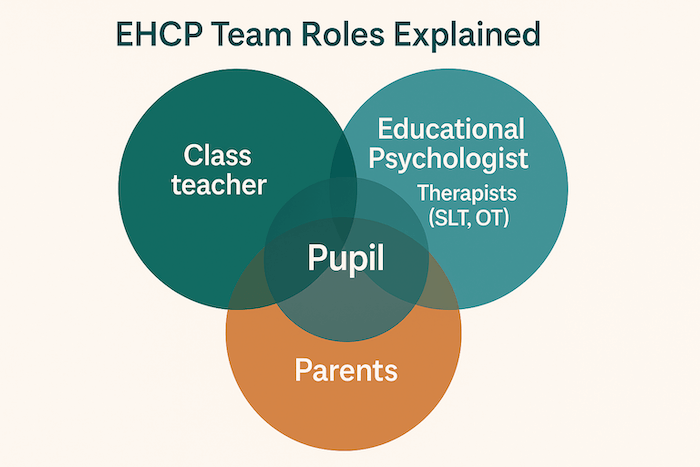 EHCP roles