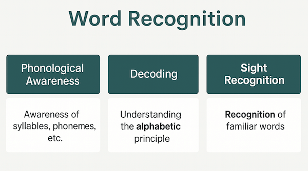 Spelling patterns and phonics instruction
