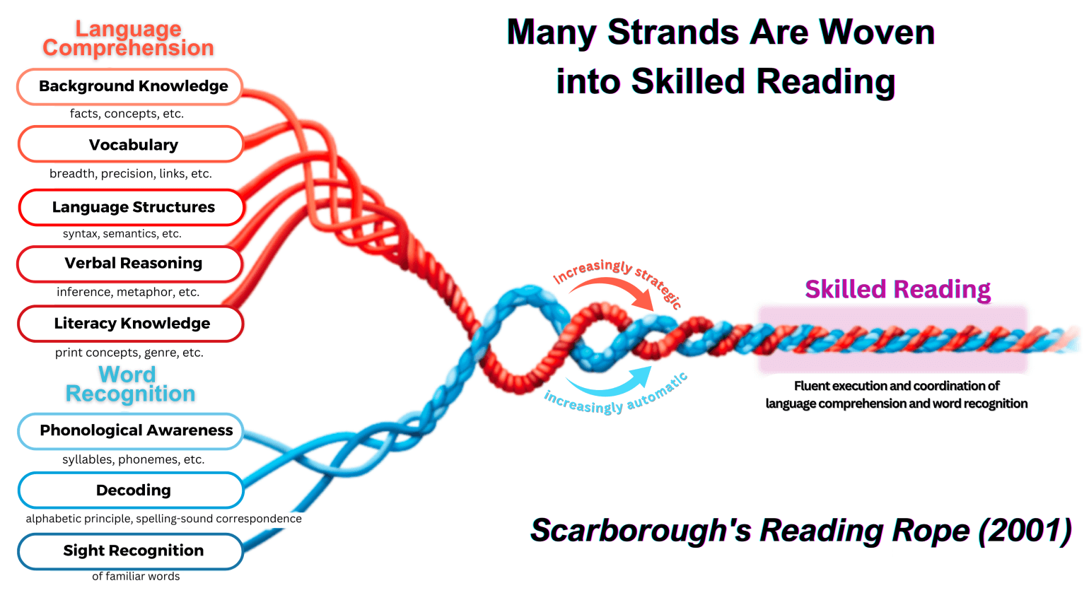 Scarboroughs Reading rope