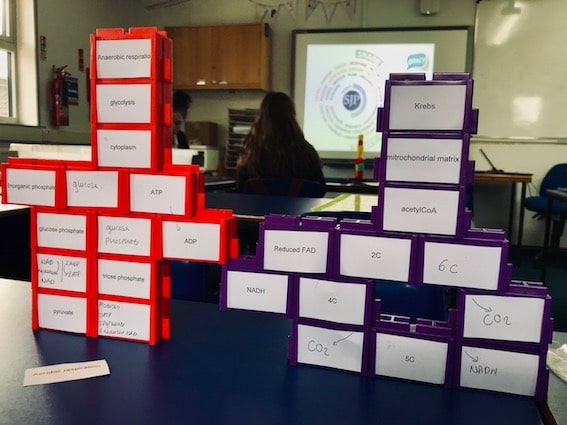 Students engaged in classroom activities that support working memory and cognitive development