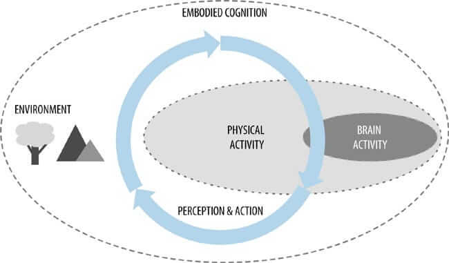 Embodied cognition diagram showing relationship between environment, physical activity and brain