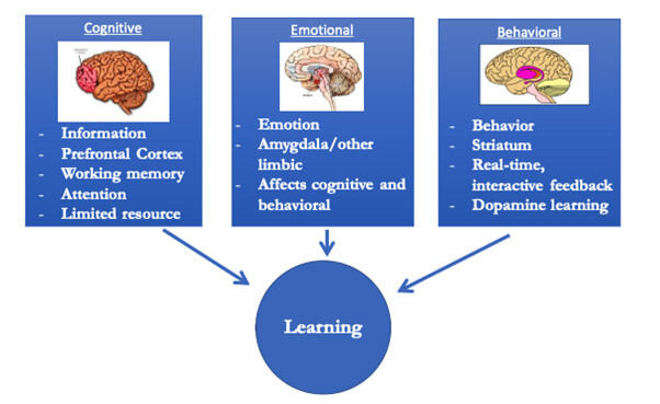 Students demonstrating neuroscience learning principles through collaborative activity