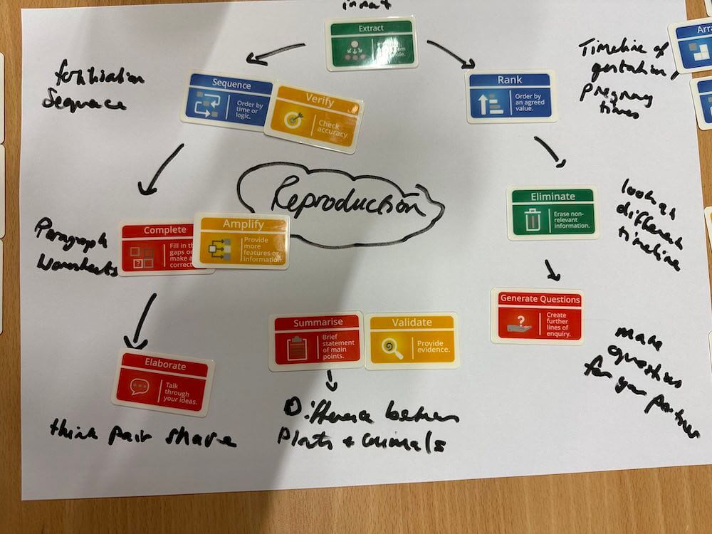 Visual learner journey