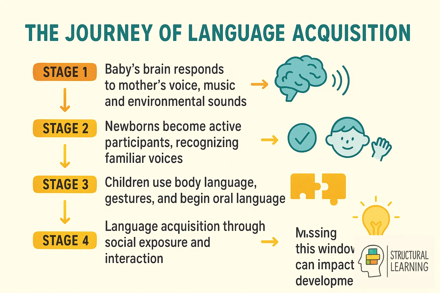 Five stages of language acquisition from prenatal development through critical learning window