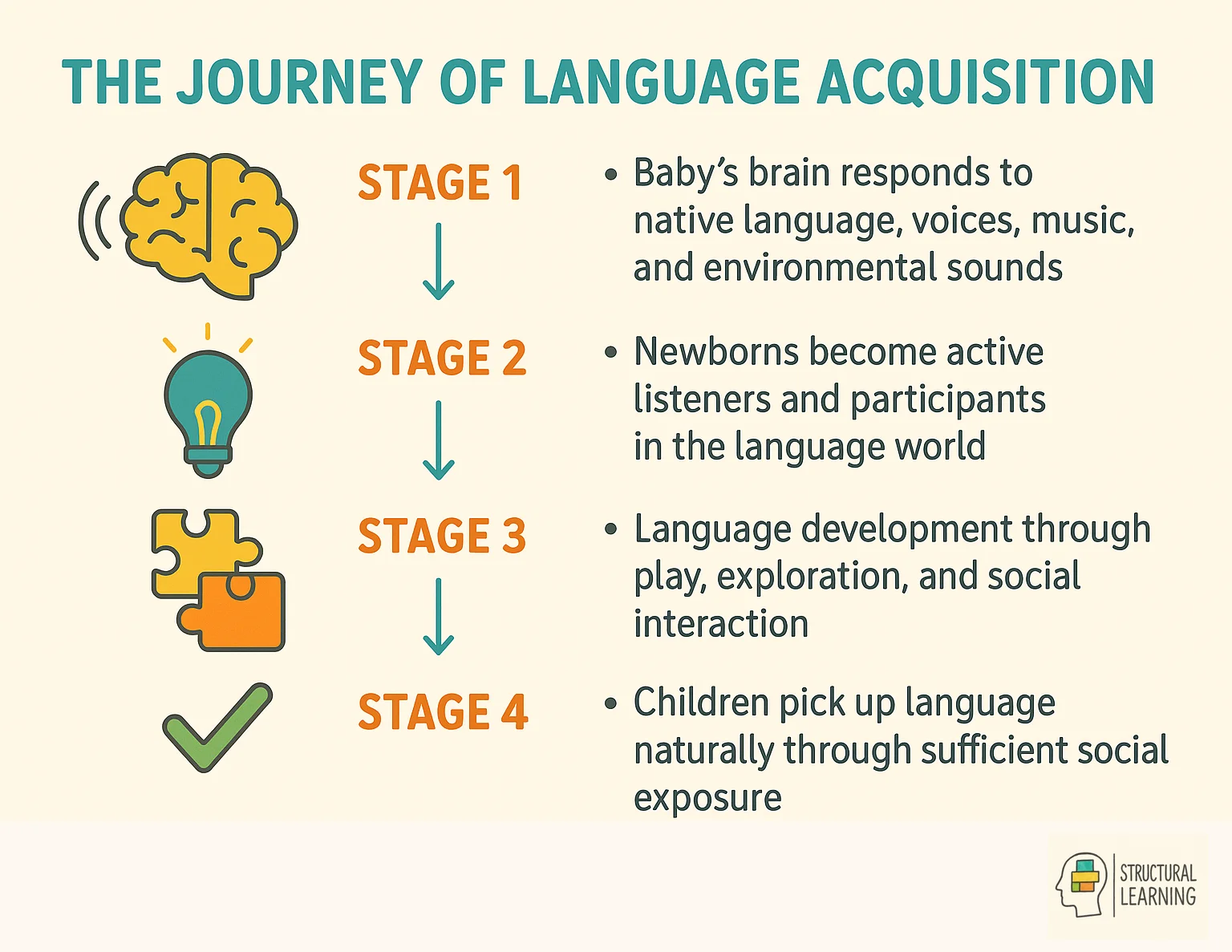 Four stages of language acquisition from prenatal development through early childhood