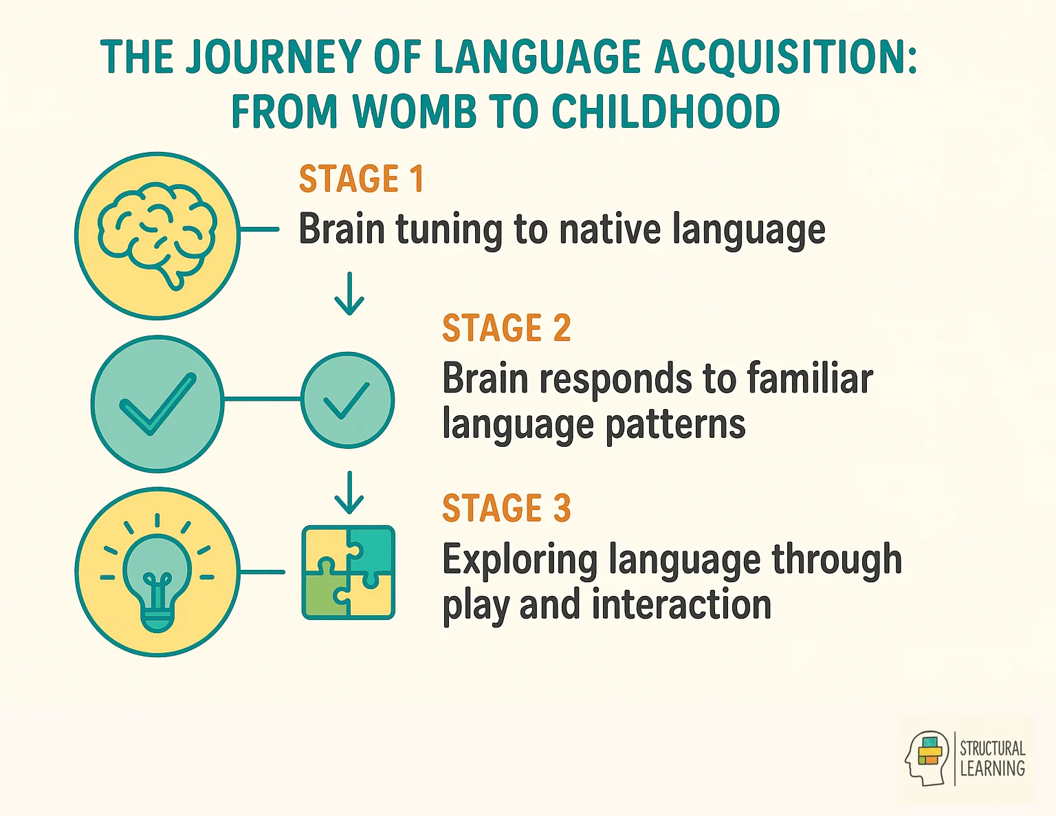 Four stages of language acquisition from prenatal development through early childhood critical window