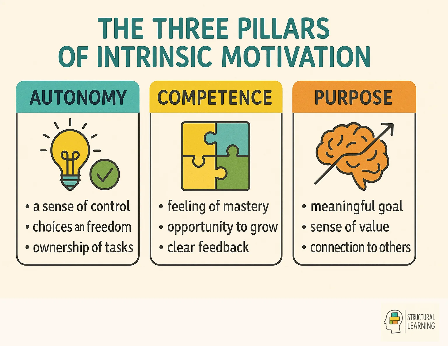 Framework showing three pillars of intrinsic motivation: autonomy, competence, and relatedness