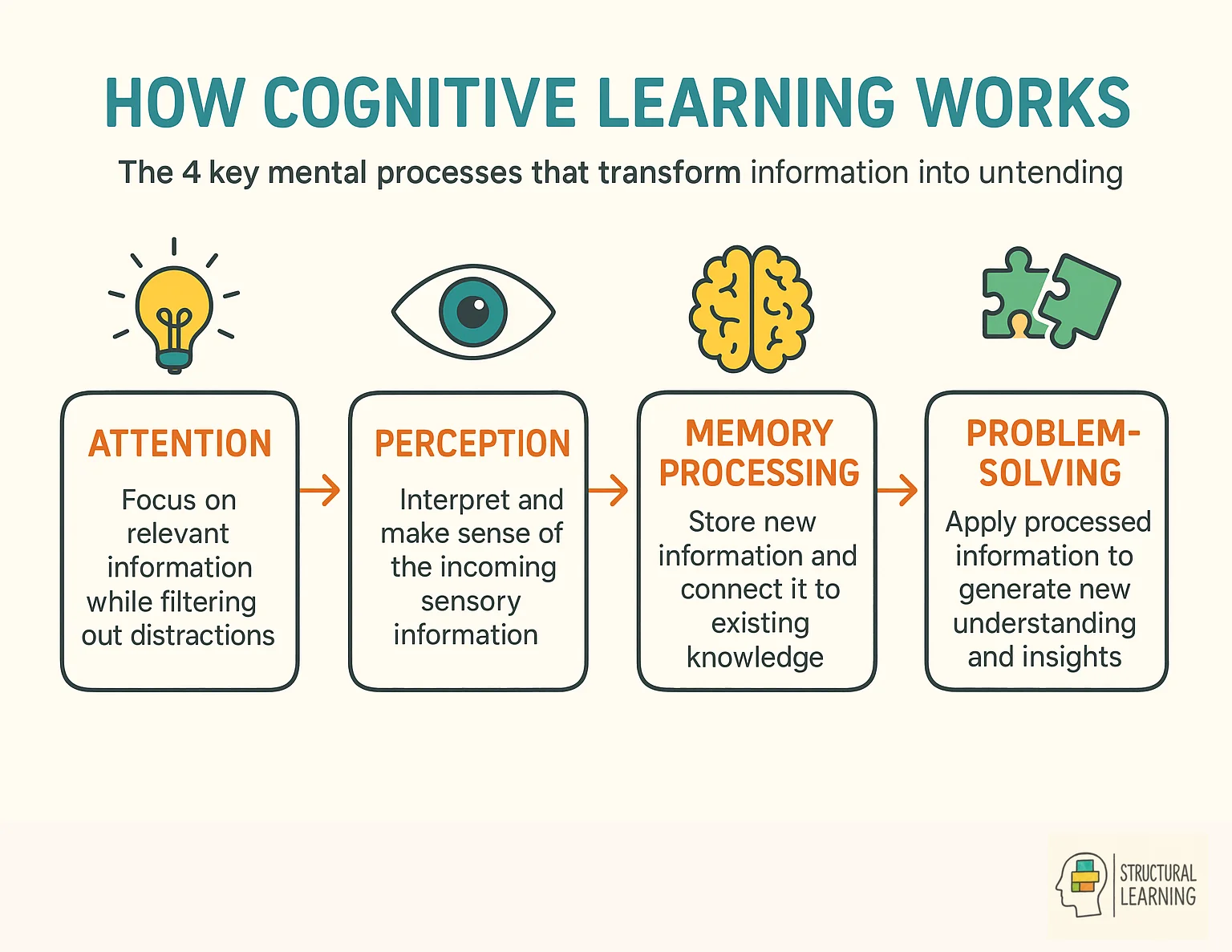 Four-step cognitive learning process showing attention, perception, memory, and problem-solving stages
