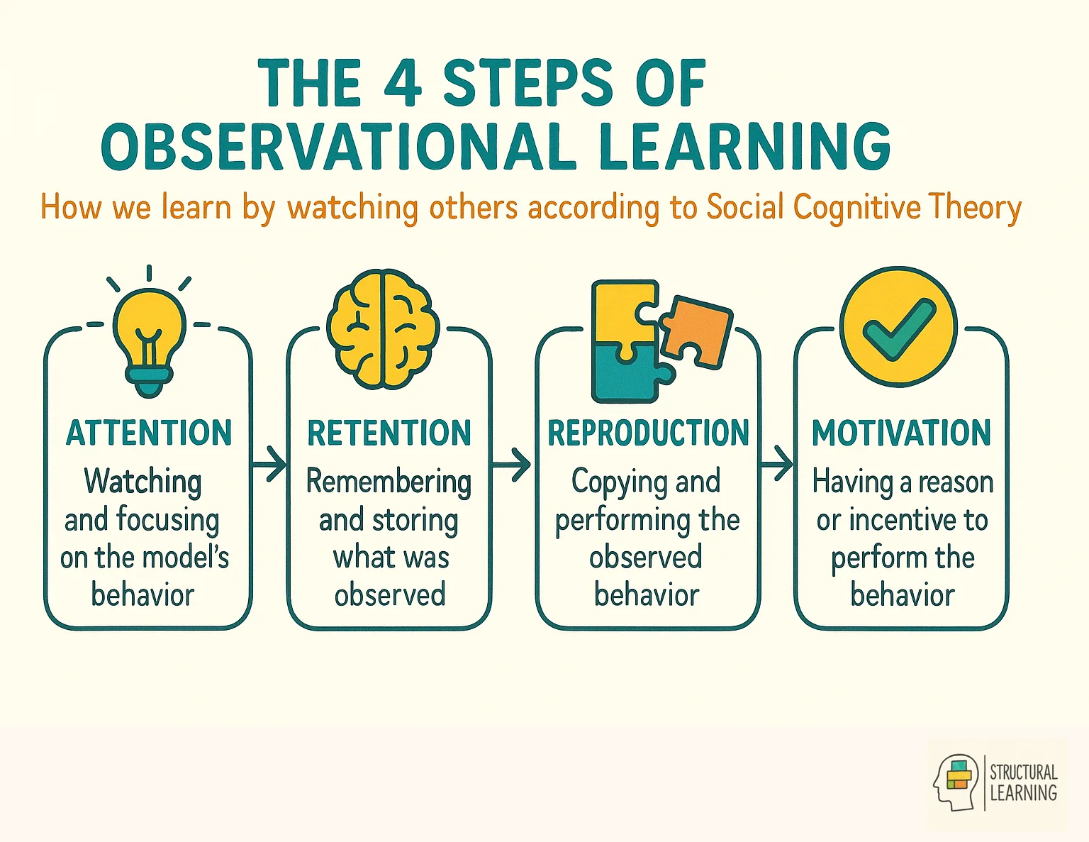 Four-step process infographic showing how observational learning works in Social Cognitive Theory