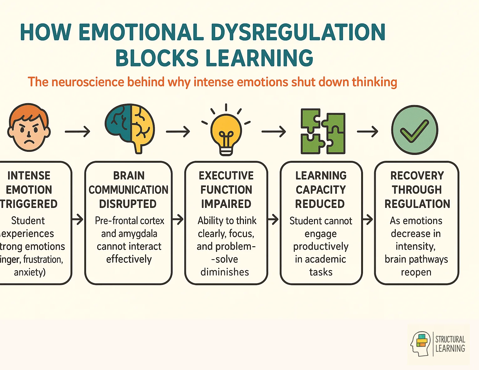 5-step process showing how emotional dysregulation blocks learning in the brain