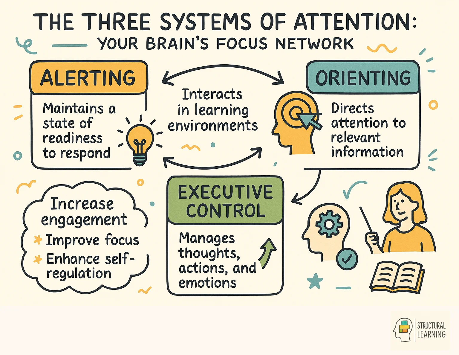 The Three Systems of Attention: Your Brain's Focus Network infographic for teachers