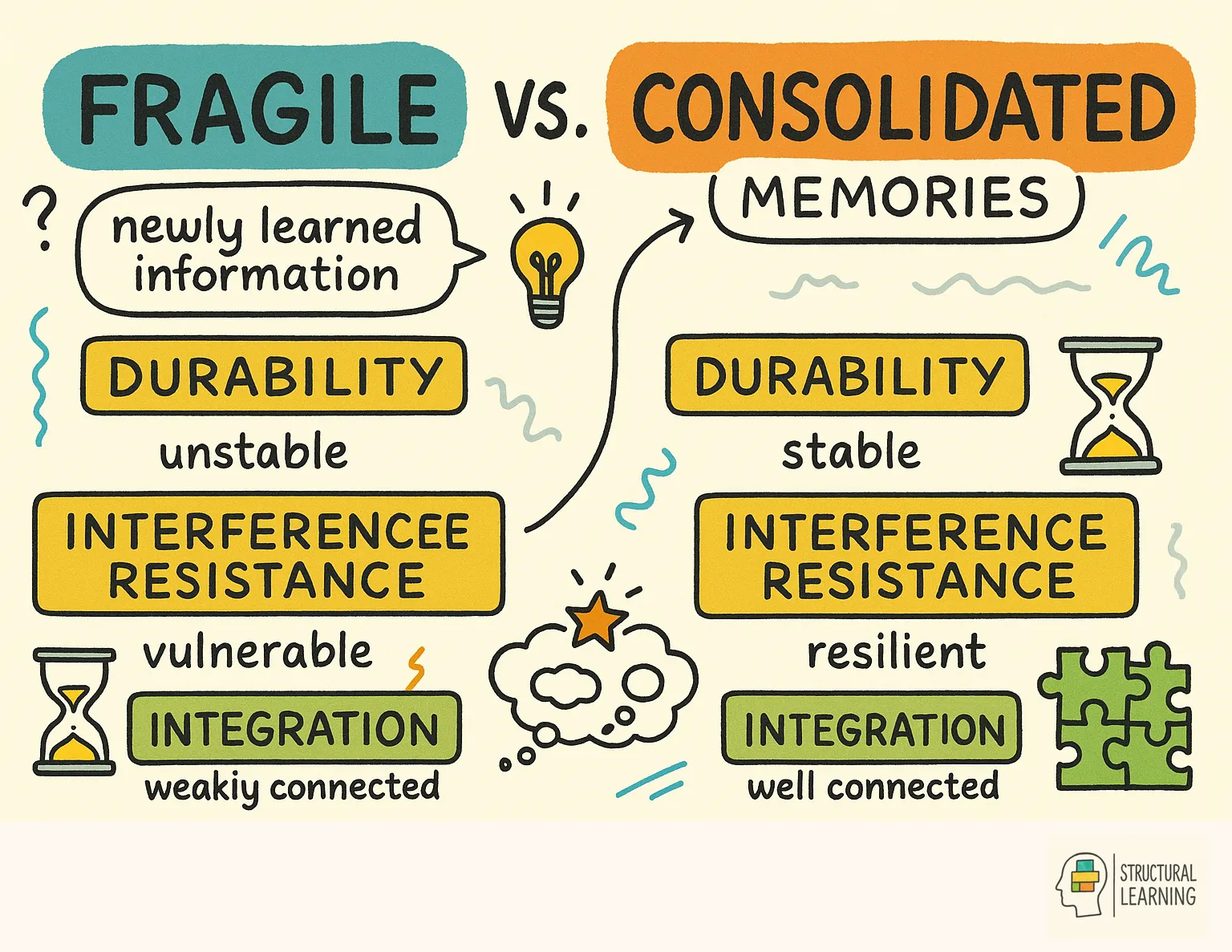 Fragile vs. Consolidated Memories infographic for teachers