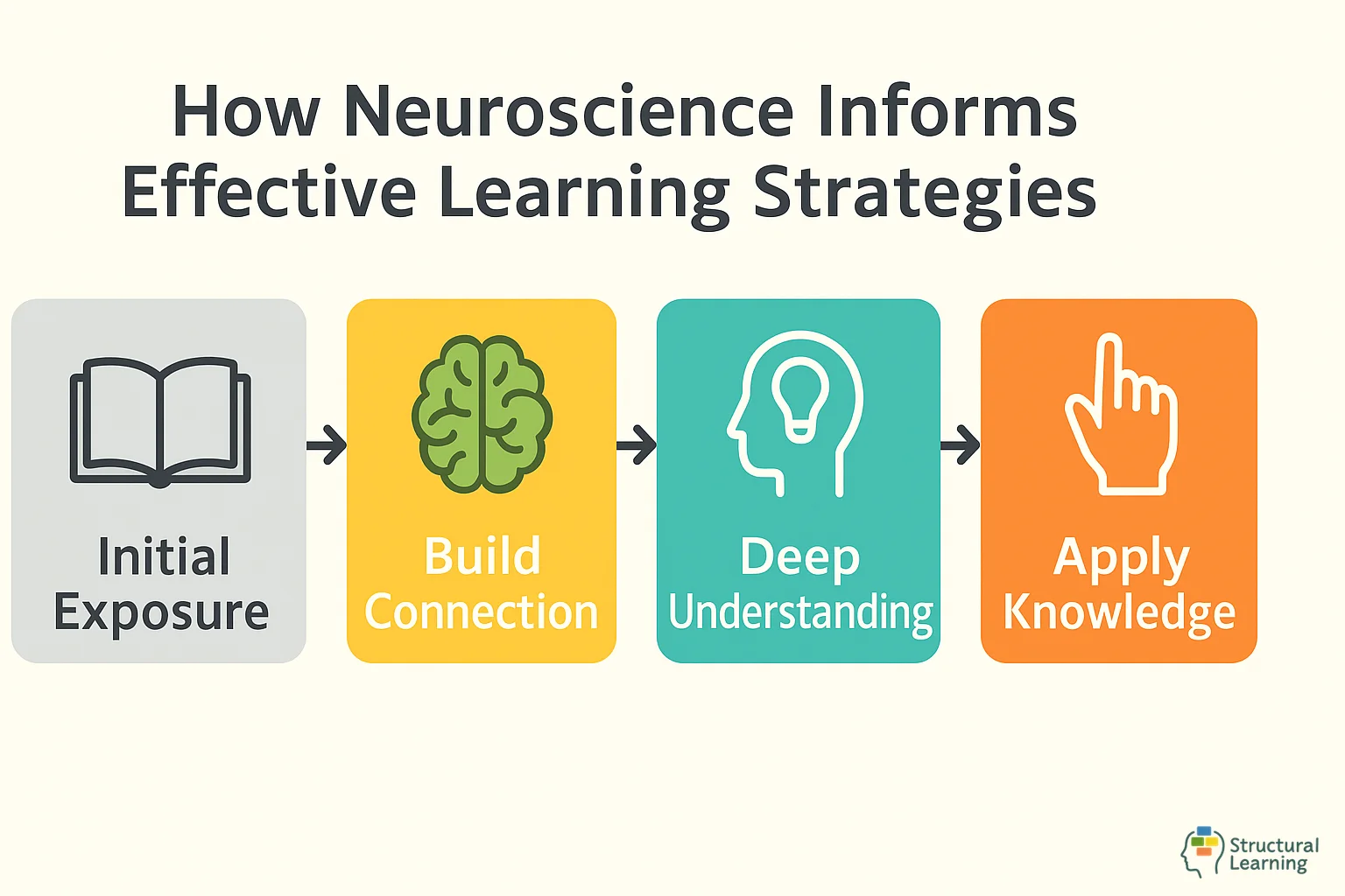 Diagram explaining How Neuroscience Informs Effective Learning Strategies 