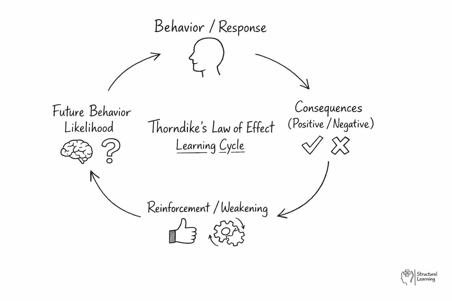 Circular diagram showing Thorndike's learning cycle from behavior to consequences to reinforcement