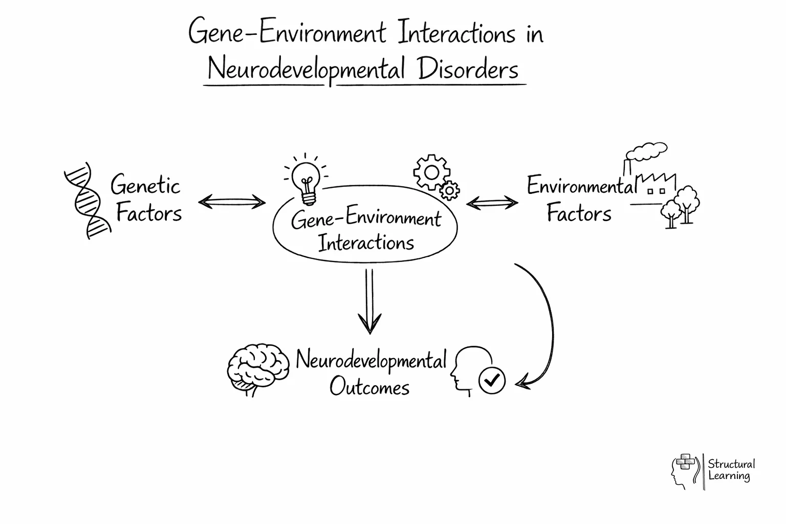 Circular diagram showing interconnected causes of neurodevelopmental disorders