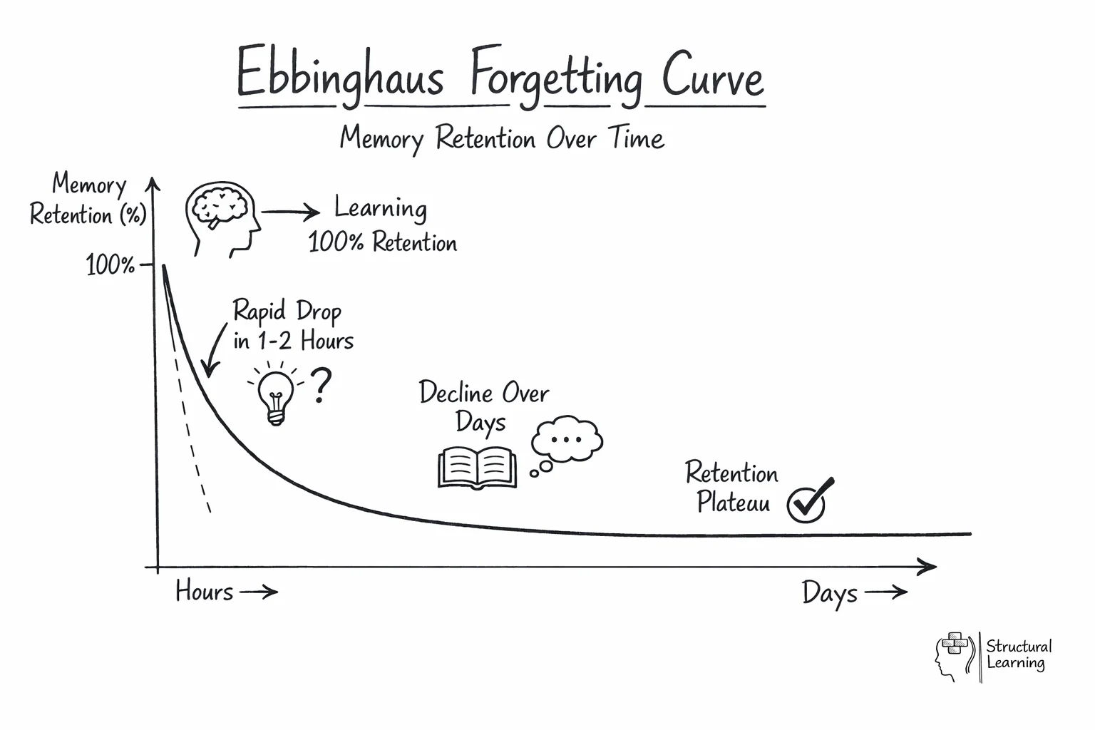 The Forgetting Curve Why Learners Forget Ebbinghaus 