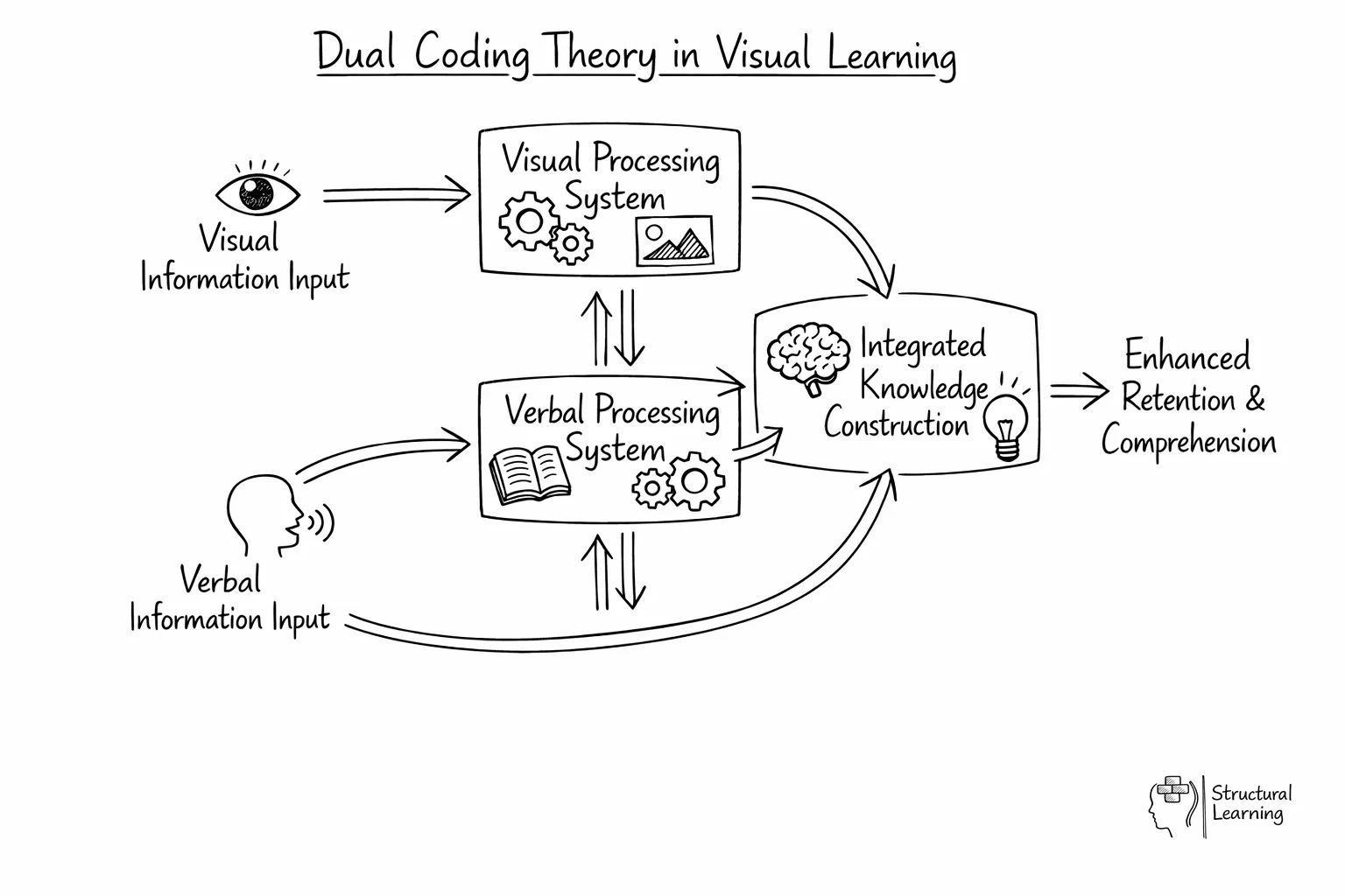 Diagram showing dual coding theory with visual and verbal inputs creating integrated learning